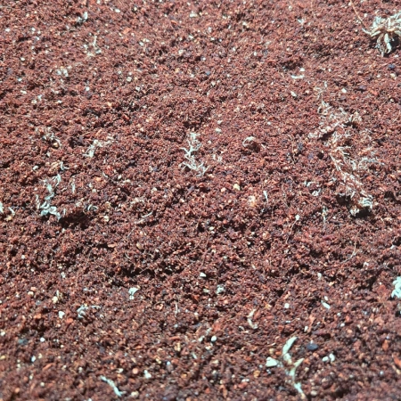 Tropical Spiders Substrate - gotowe podłoże dla pająków 5L